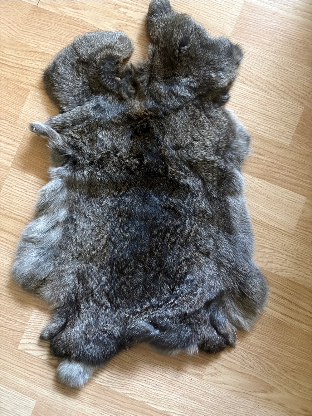 B0088 Natural Gray Rabbit Fur Pelt